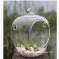 Glass Bottle Terrarium Home Decor